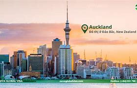 Xuất Khẩu Lao Động New Zealand 2022 Online Shopping Usa